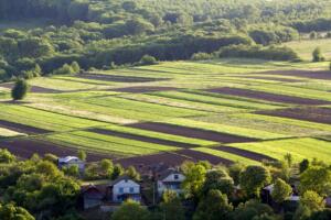 view of land, representing the importance of choosing a certified land surveying company