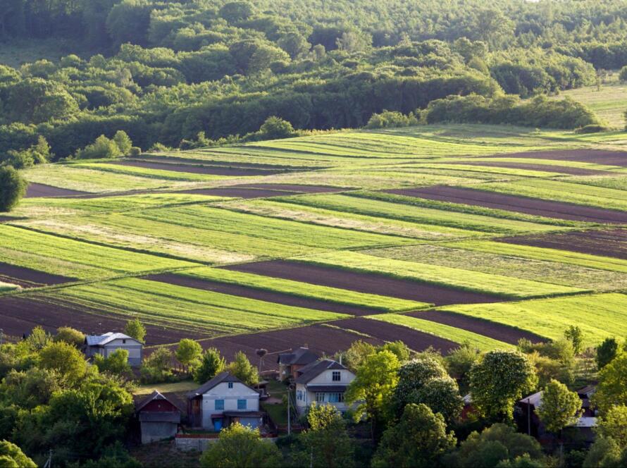 view of land, representing the importance of choosing a certified land surveying company
