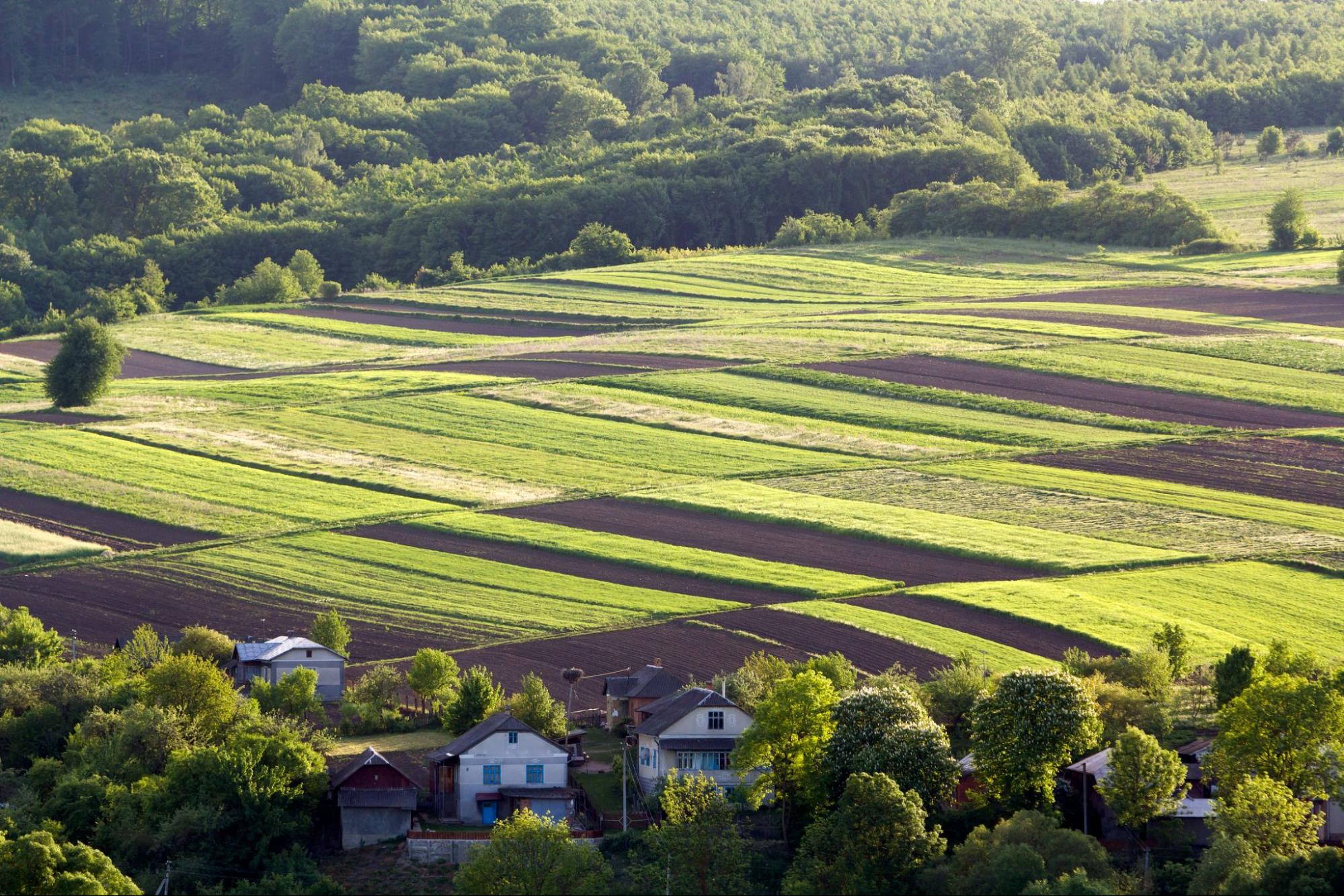 view of land, representing the importance of choosing a certified land surveying company