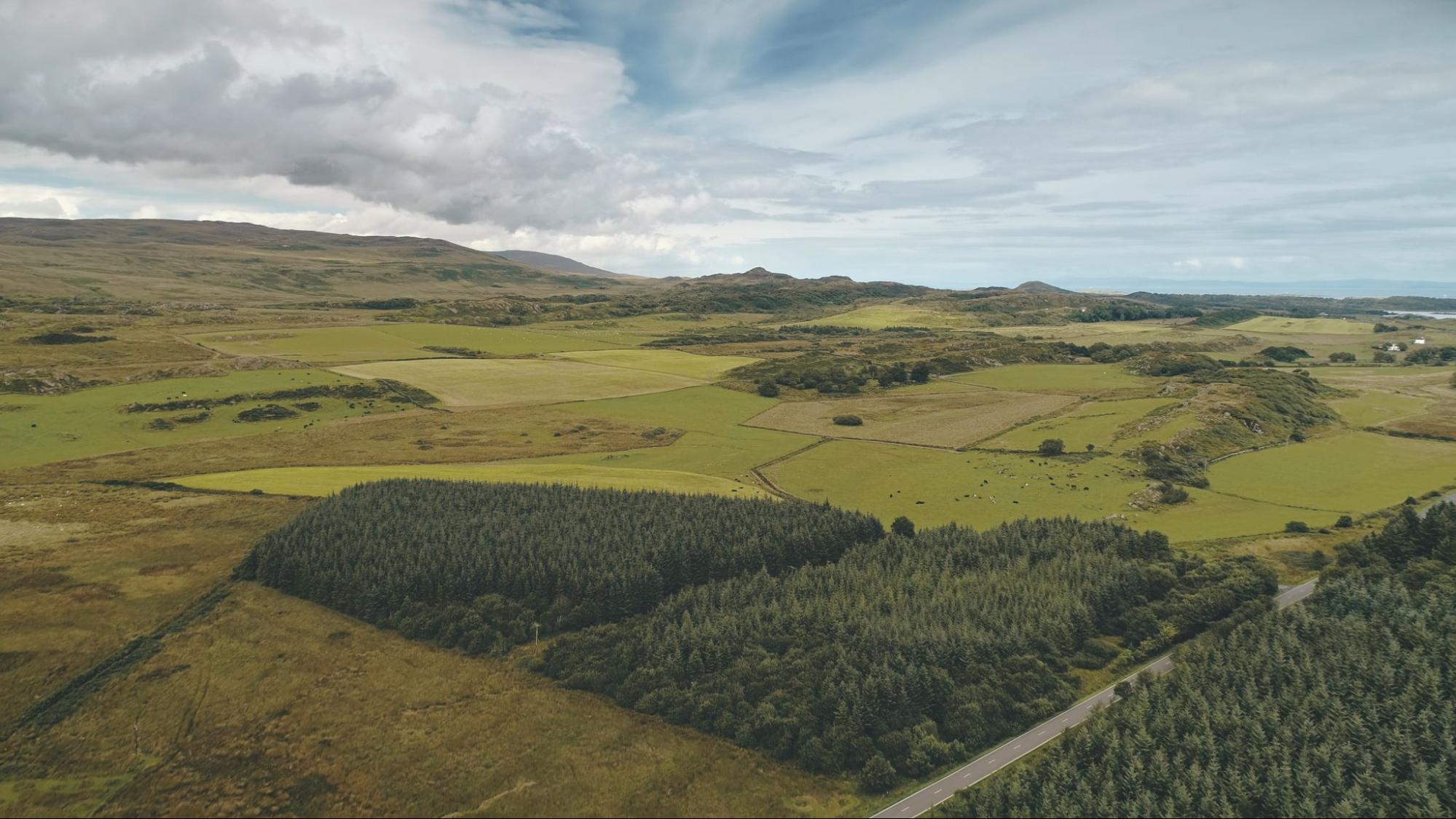 aerial view of land, symbolizing land surveying services pricing