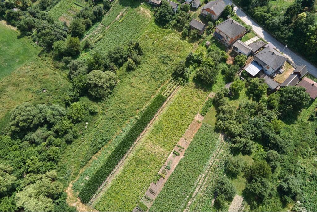 aerial view of land, representing the importance of affordable land surveying services
