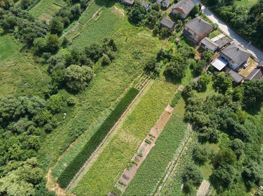 aerial view of land, representing the importance of affordable land surveying services