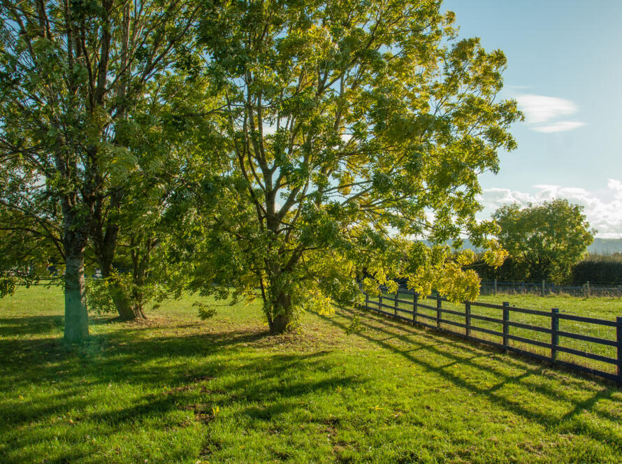 fenced property, representing Trusted Land Surveying Services In South Texas