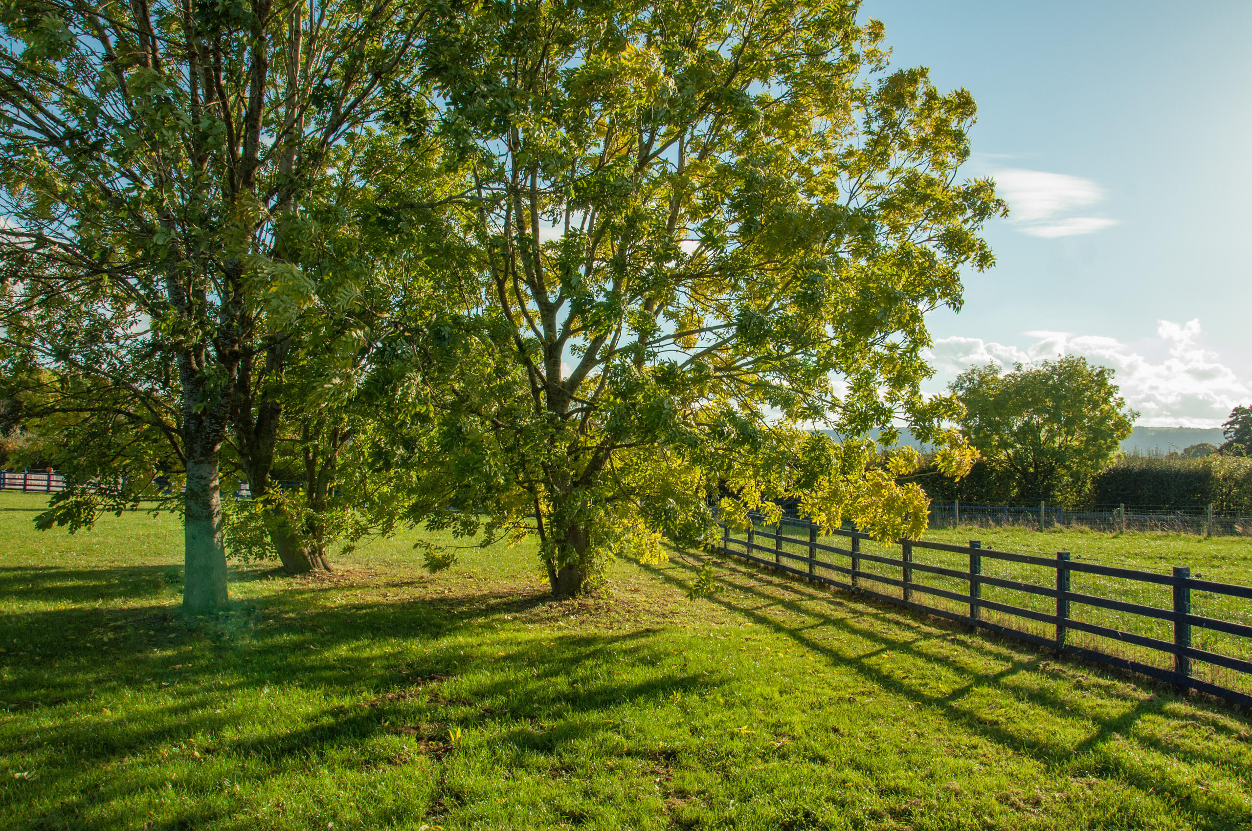 fenced property, representing Trusted Land Surveying Services In South Texas
