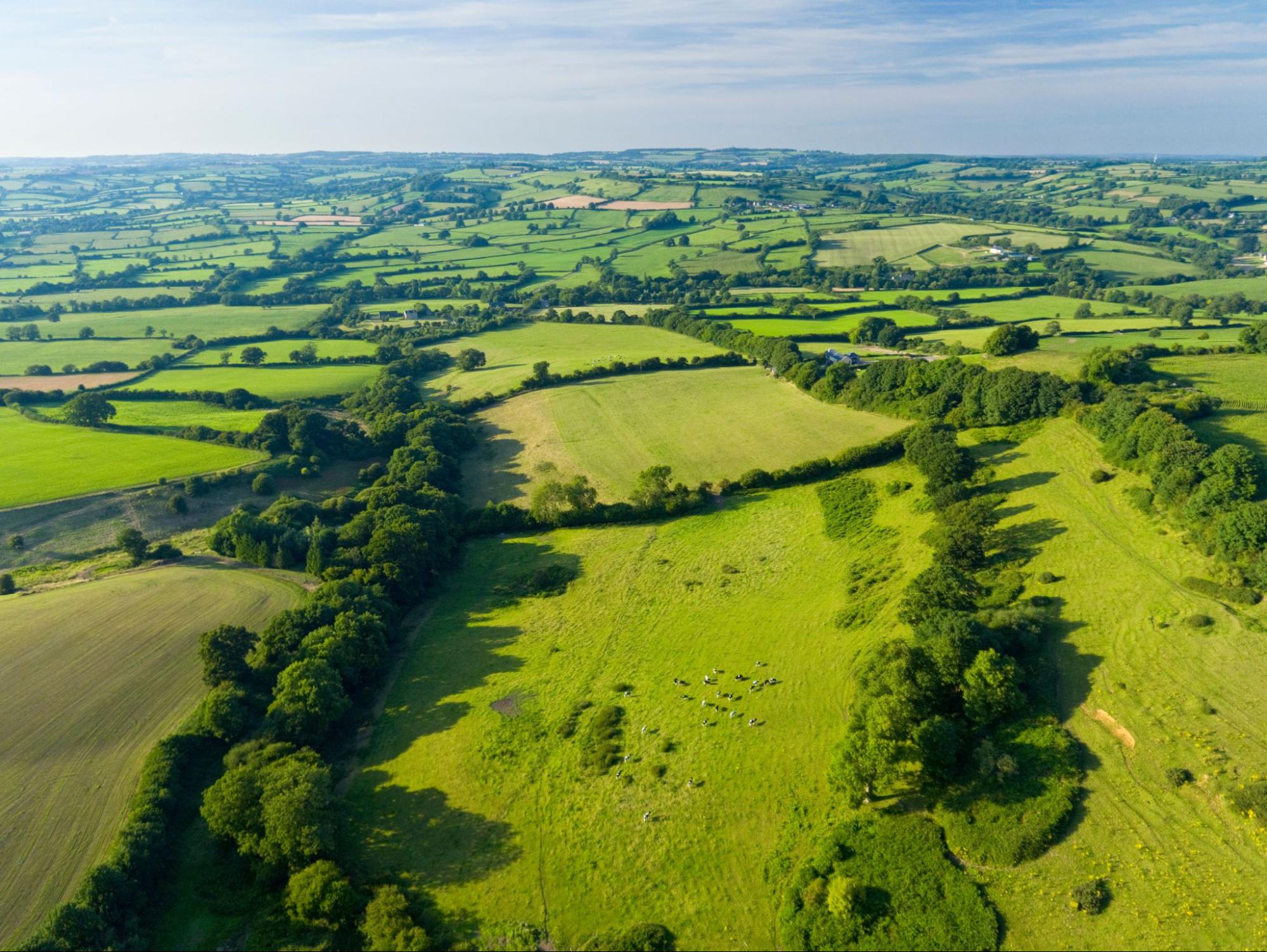 aerial view of land