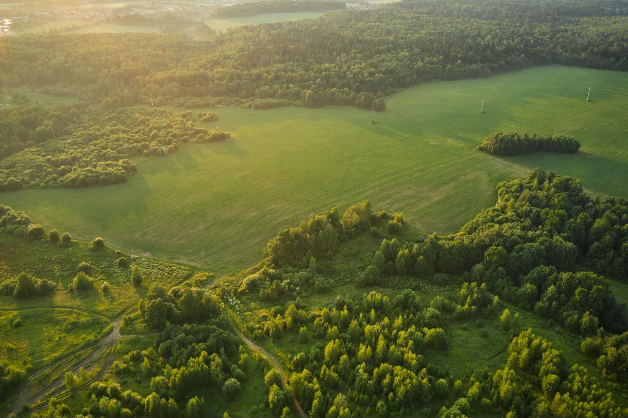 aerial view of land
