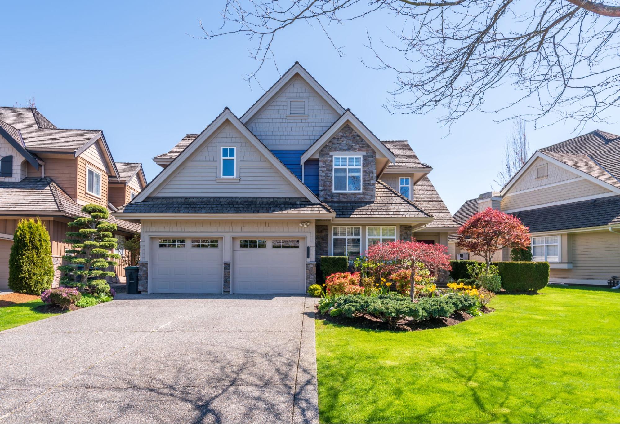 house surrounded by plants