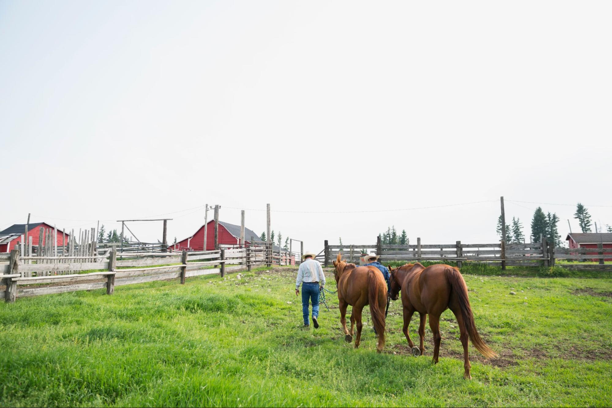 Ranchers lead horses across a grassy pasture near fenced rural property, illustrating large tracts of land common in South Texas ranch settings.