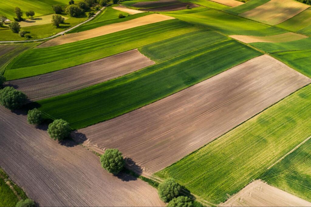 aerial view of land, representing the need to choose a local land surveyor