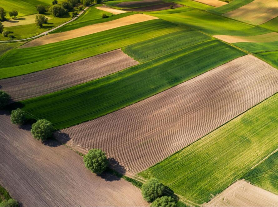 aerial view of land, representing the need to choose a local land surveyor
