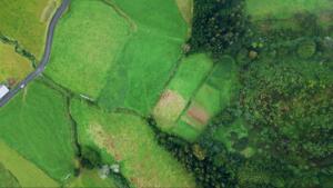 aerial view of land