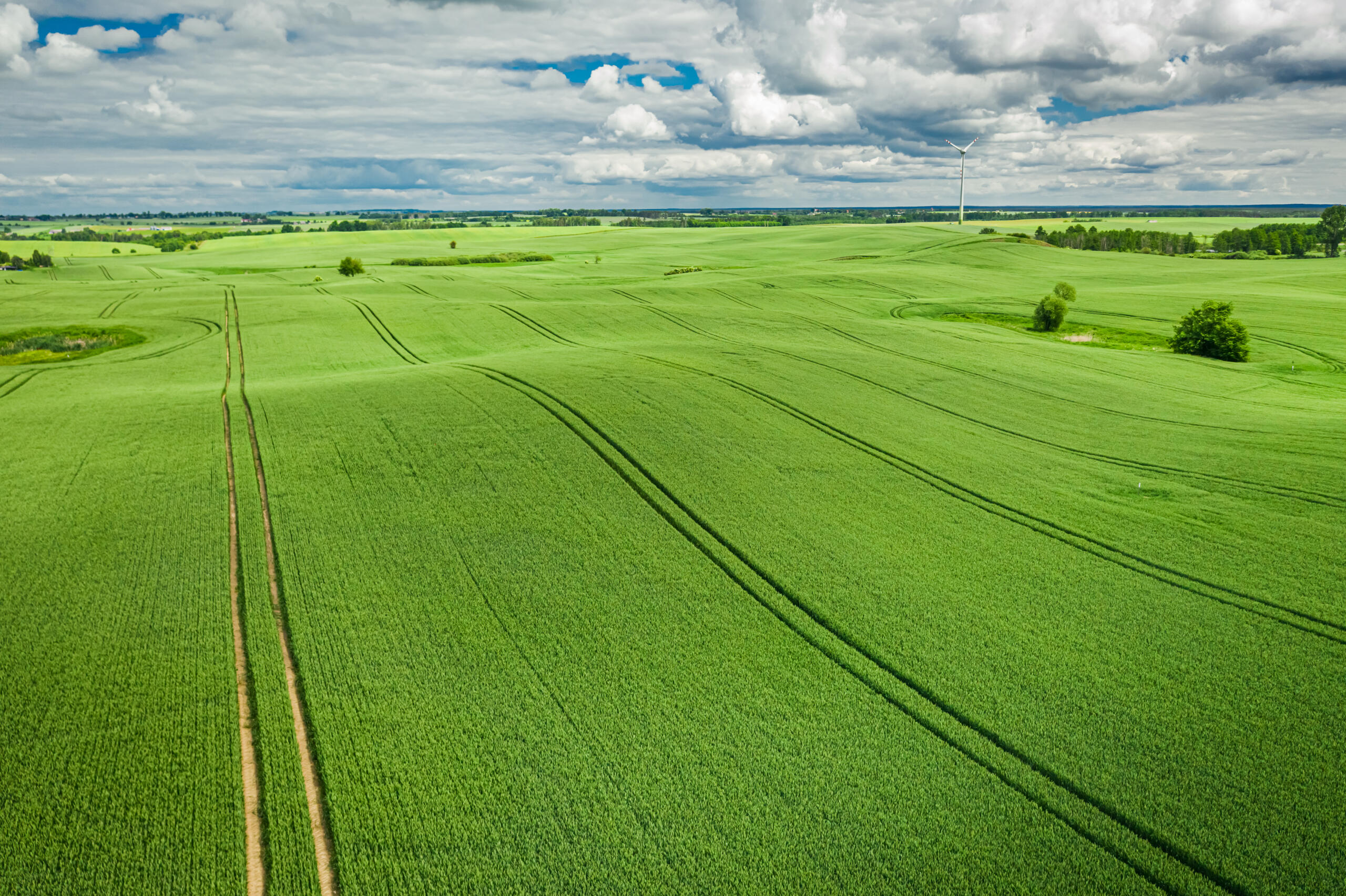 aerial view of land