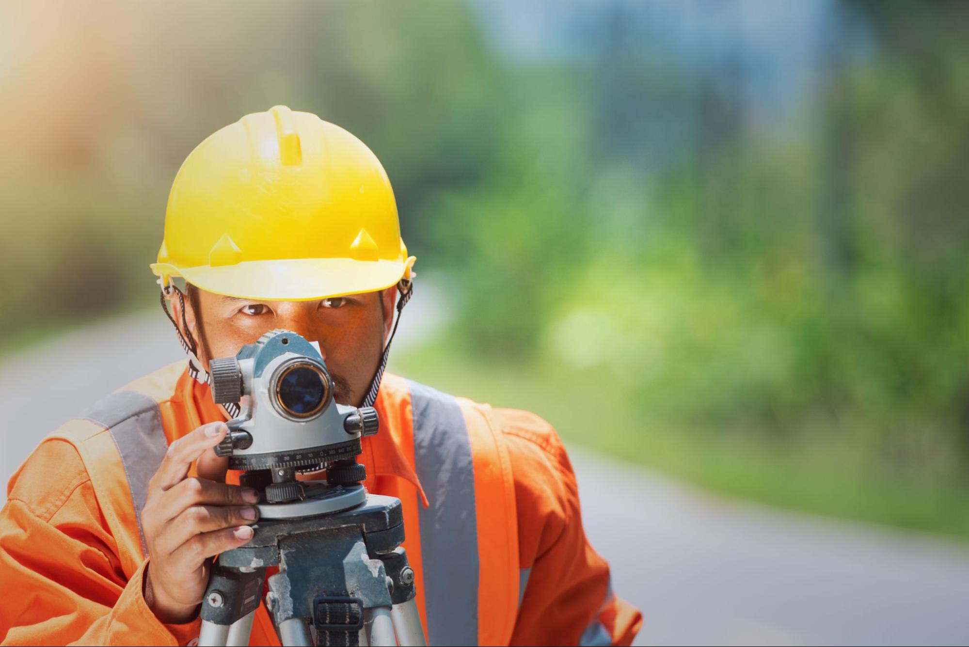 professional land surveyor