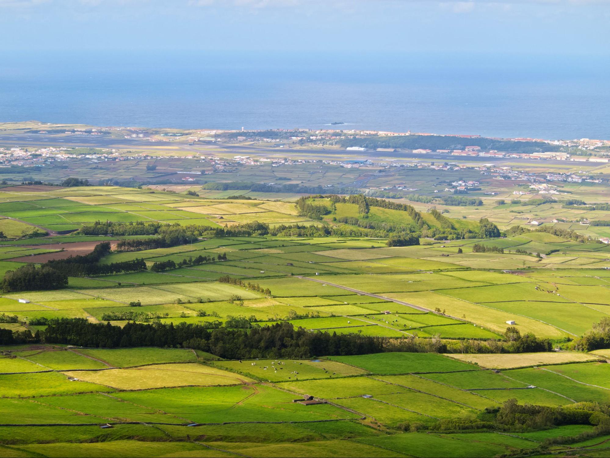 aerial view of farmland parcels and property boundaries, representing how to schedule land surveying services for landowners and developers