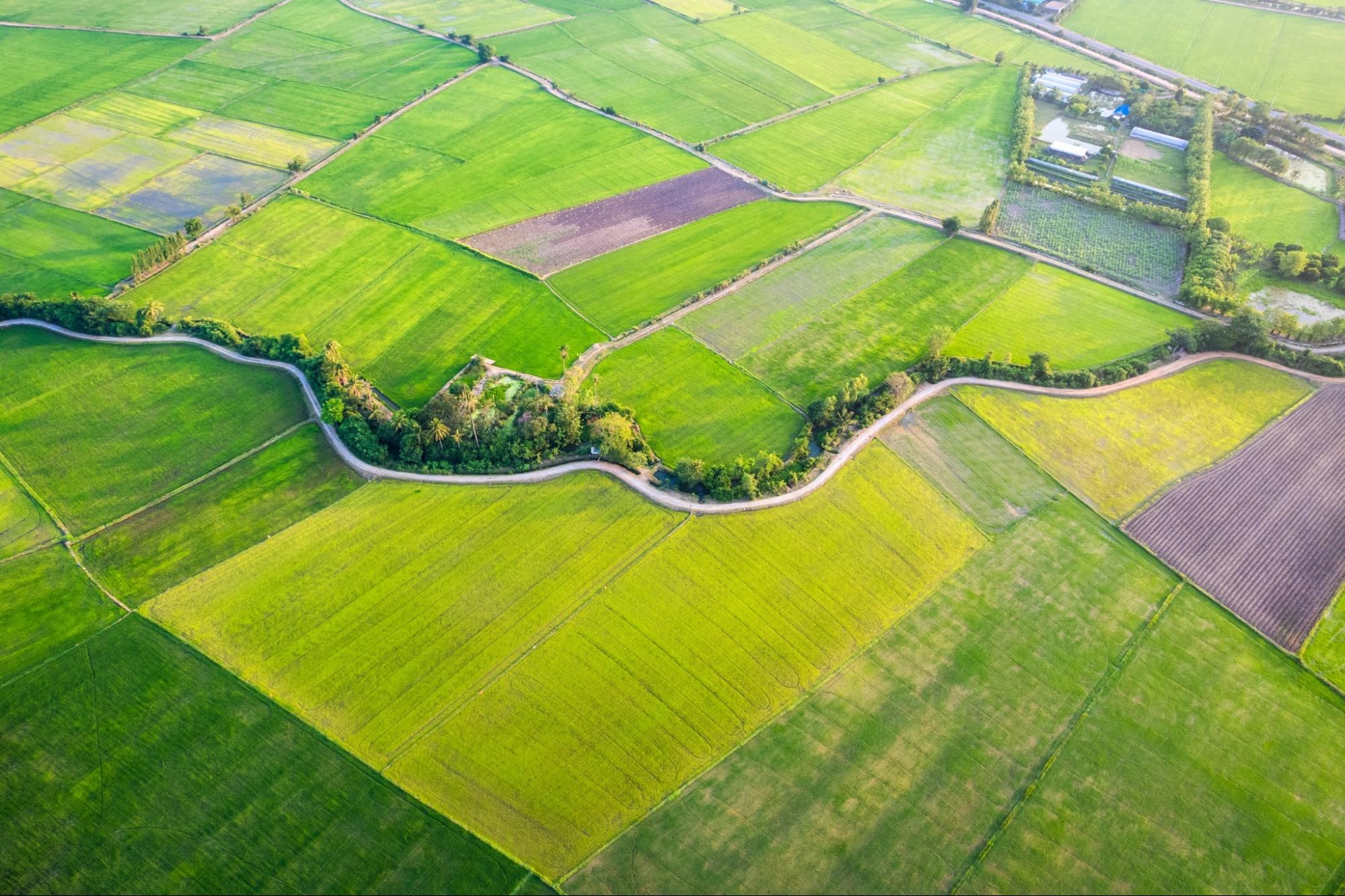 aerial view of farmland property boundaries