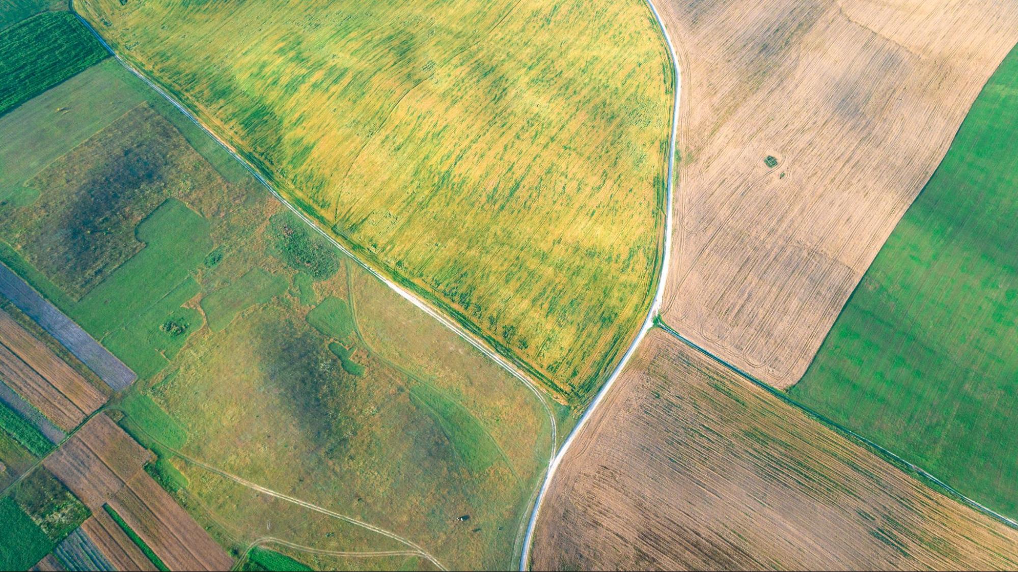 aerial view of farmland and rural property boundaries illustrating land areas evaluated for a land surveying services quote