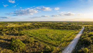 aerial view of landscape