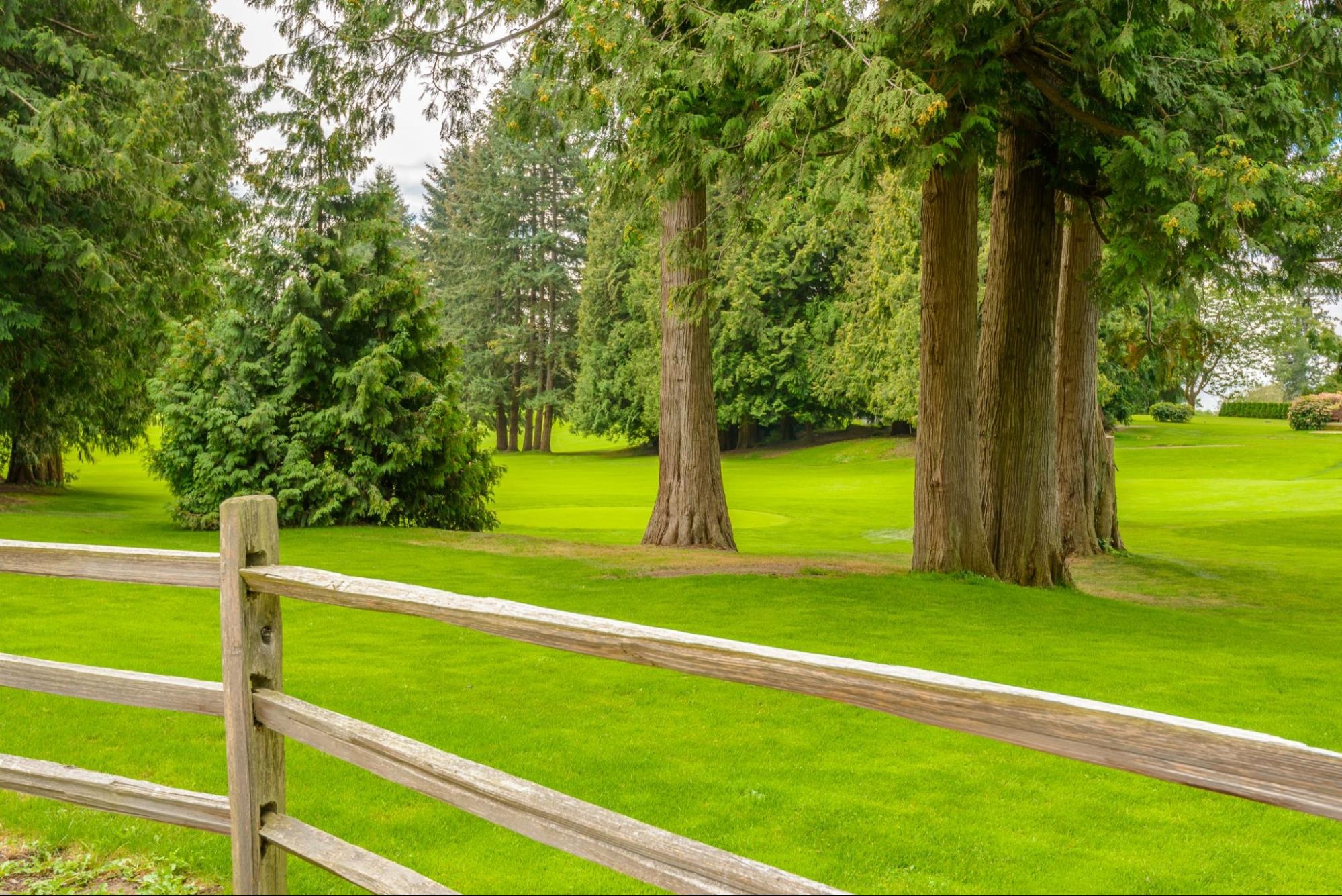 wooden fence along a green rural property line