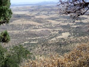 Scenic South Texas land with rolling hills, scattered trees, and wide open rural terrain viewed from above