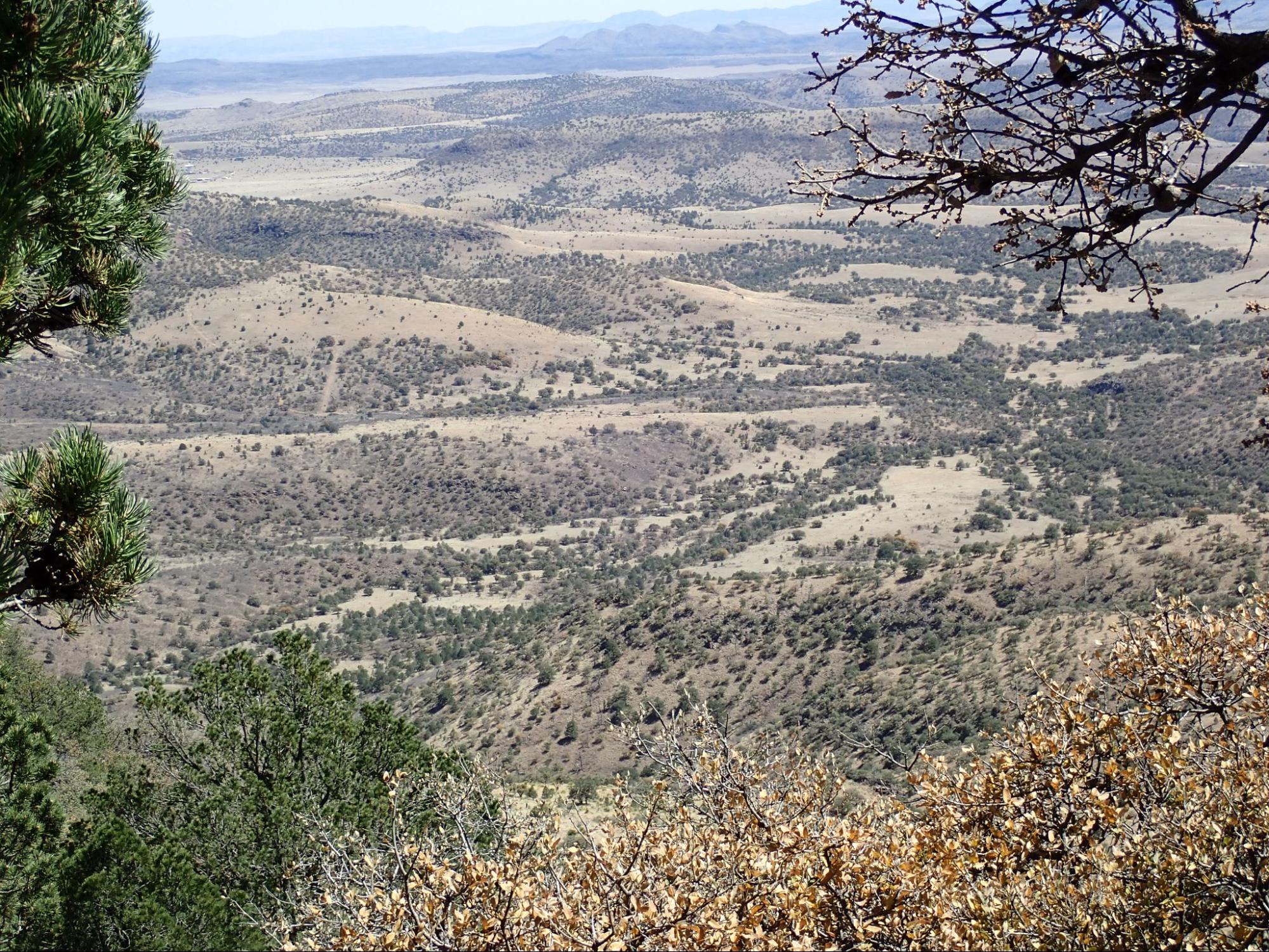 Scenic South Texas land with rolling hills, scattered trees, and wide open rural terrain viewed from above