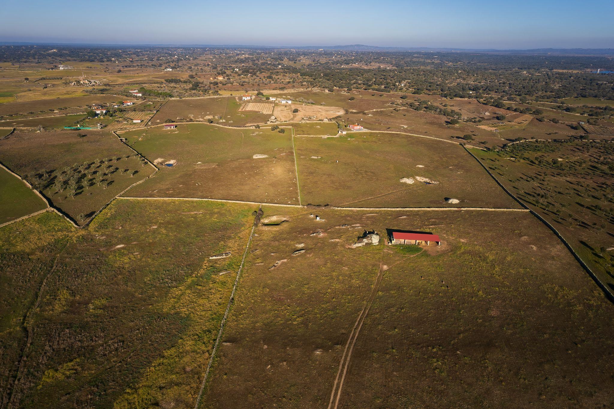 rural landscape