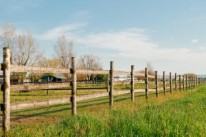An old wood fence with a green country field behind it, representing the need to contact a professional land surveyor
