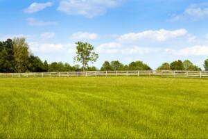 landscape representing the need to Request a Land Surveyor Quote in South Texas