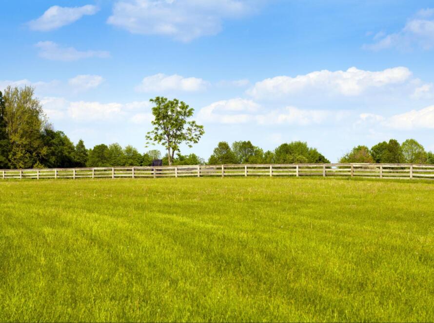 landscape representing the need to Request a Land Surveyor Quote in South Texas