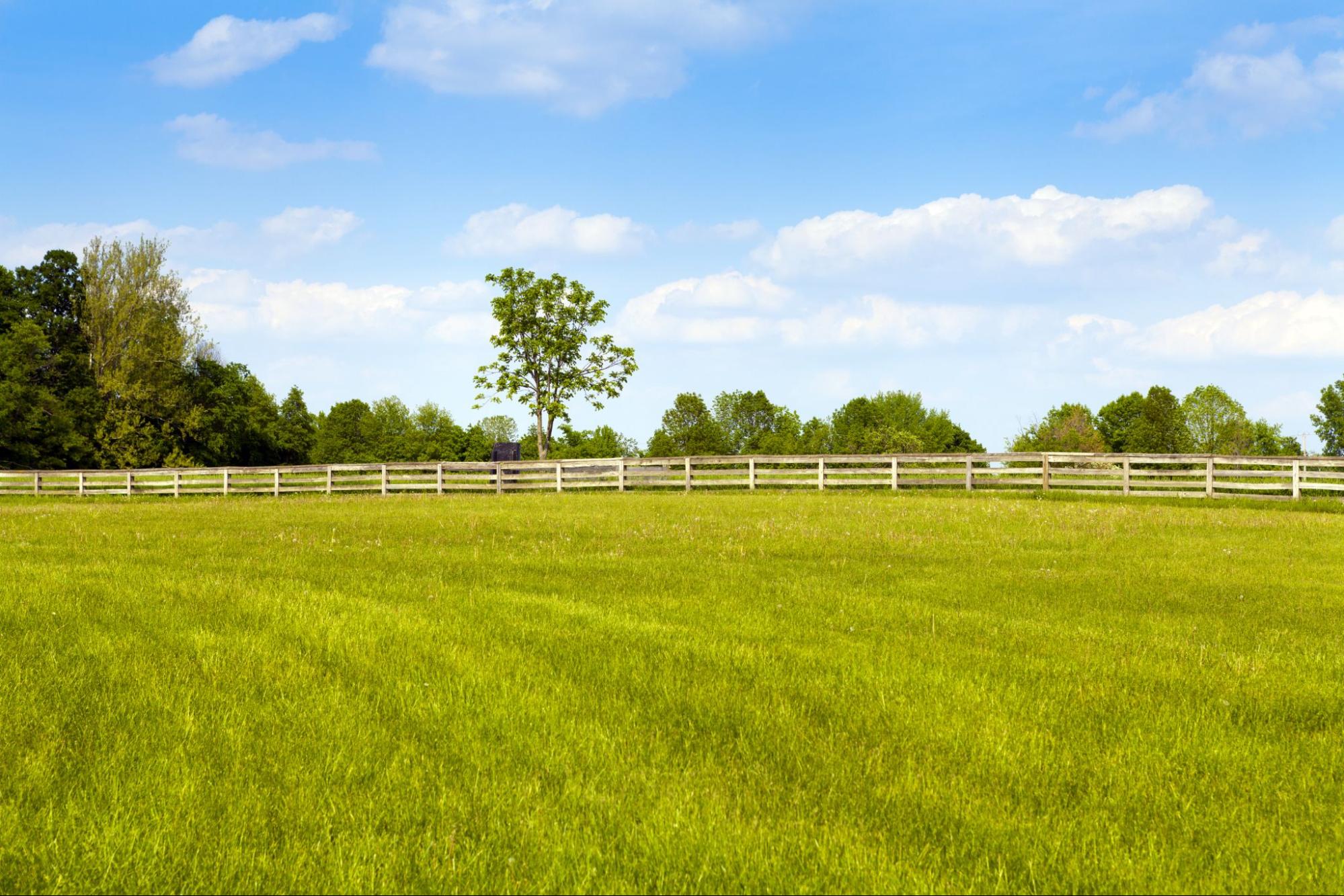 landscape representing the need to Request a Land Surveyor Quote in South Texas