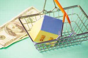 shopping cart with a model house and money, representing when are land surveying services required