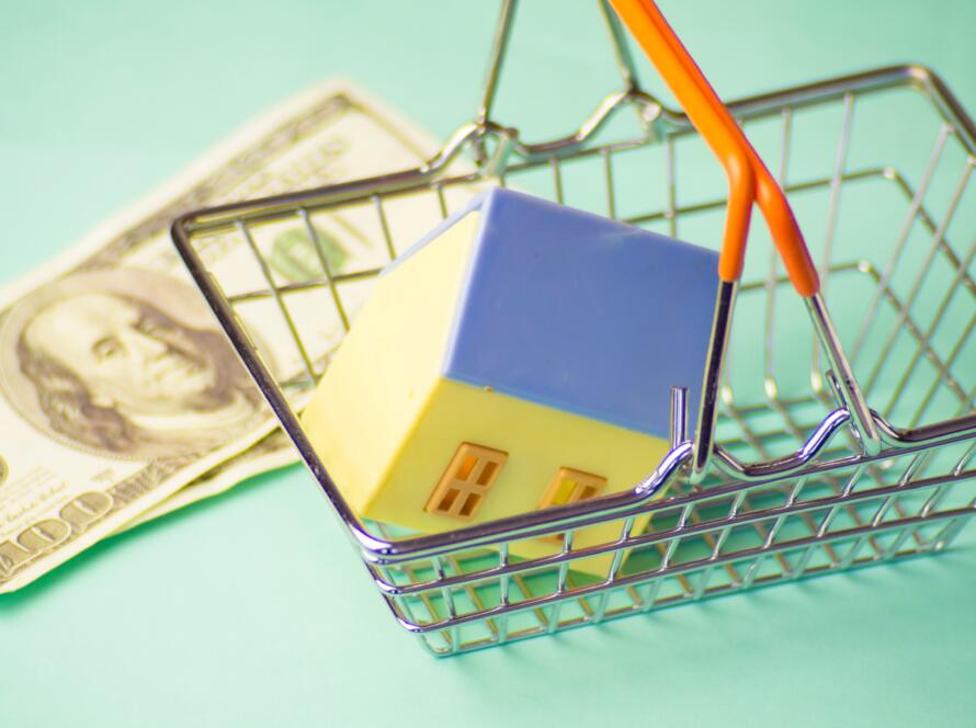 shopping cart with a model house and money, representing when are land surveying services required