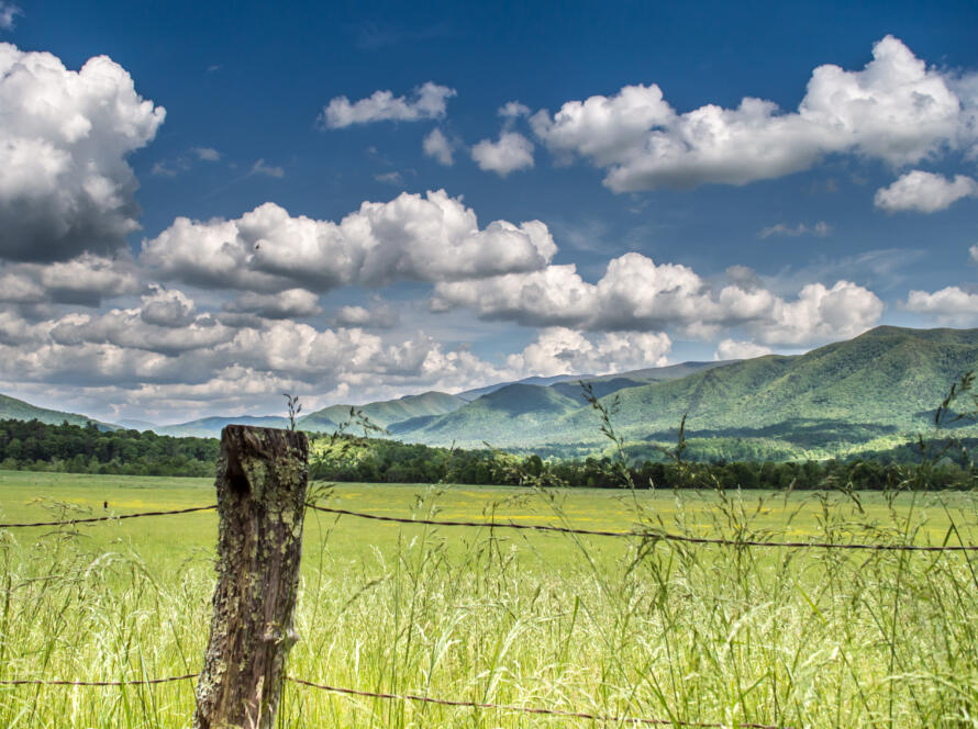 fenced-off property, representing the need for a land surveyor for property purchase