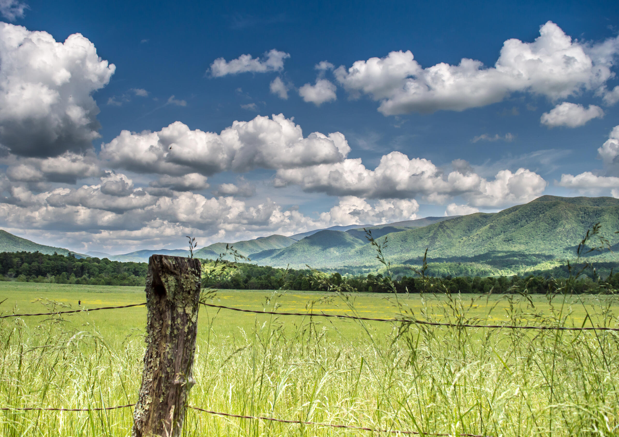 fenced-off property, representing the need for a land surveyor for property purchase