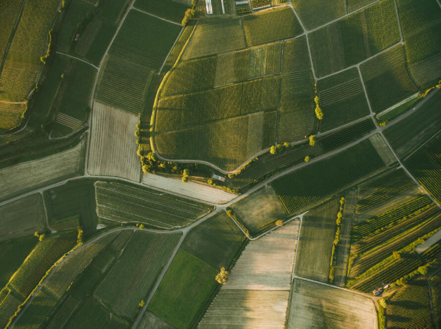 birds-eye view of land, symbolizing the need for Reliable Land Survey Services in South Texas