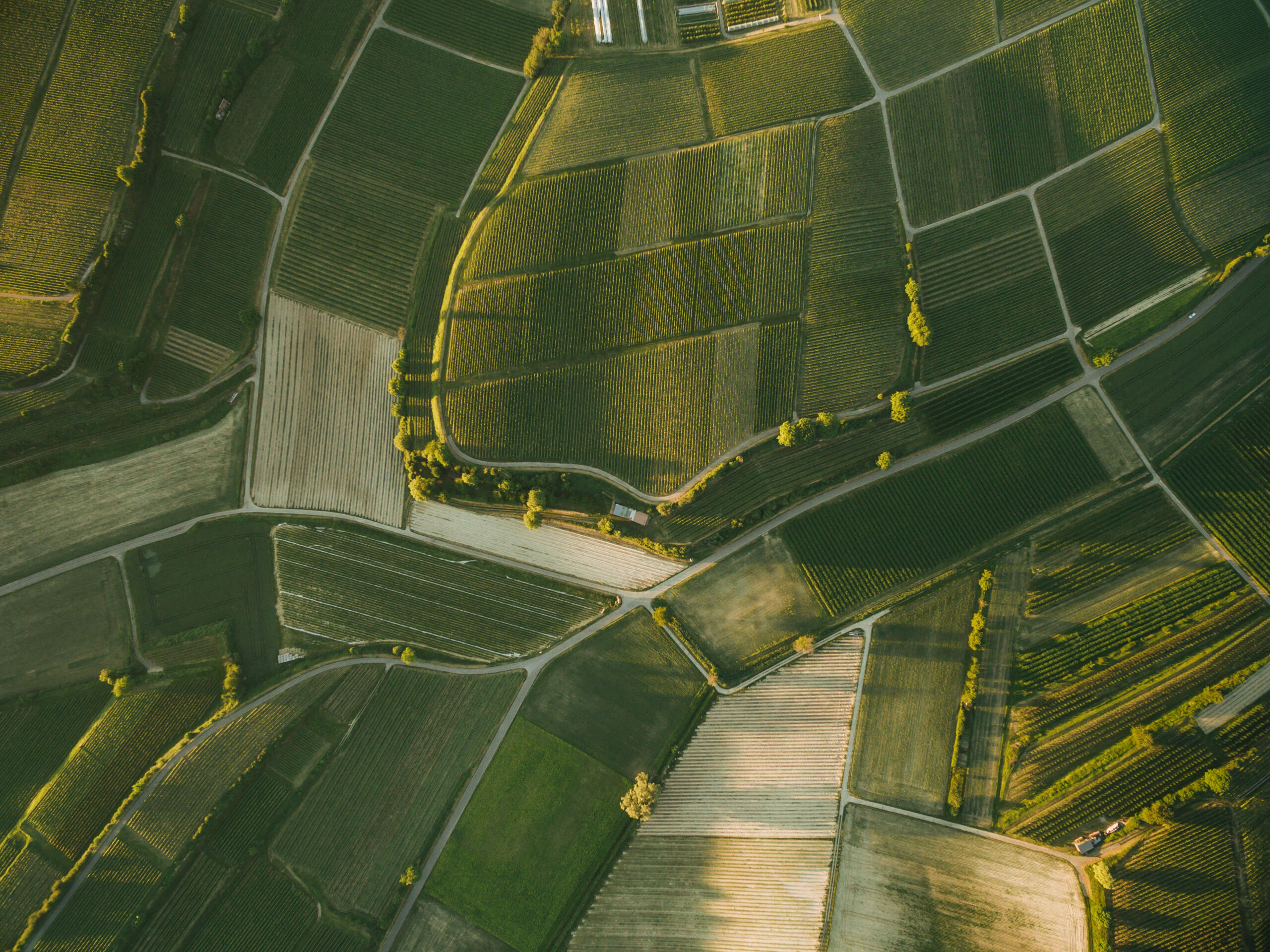 birds-eye view of land, symbolizing the need for Reliable Land Survey Services in South Texas