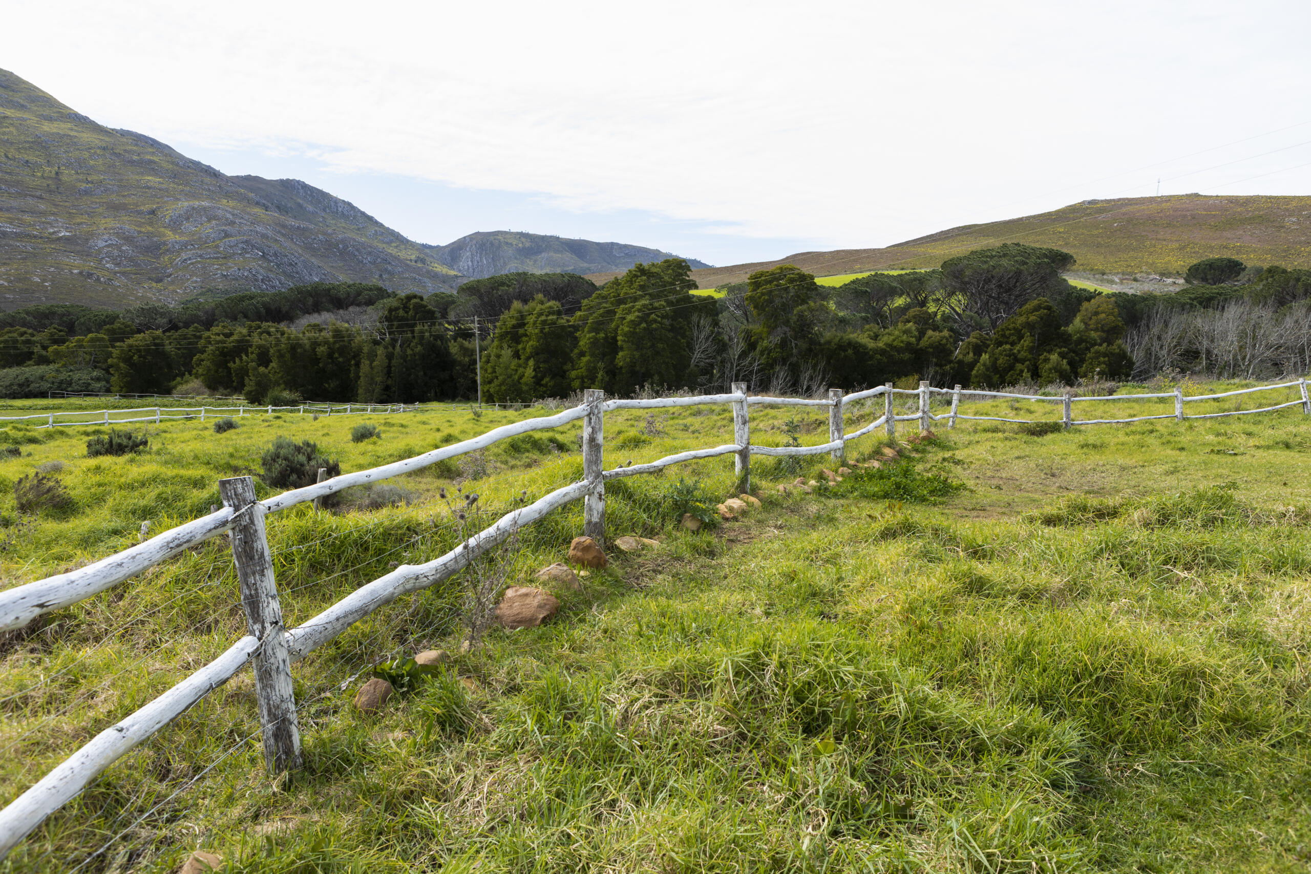 post and rail fence around a field at a farm, representing the importance of Professional ALTA Survey Services
