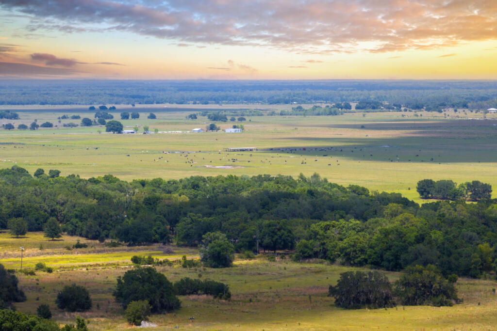 rolling hills and meadows, representing the need for Affordable Land Survey Services in South Texas