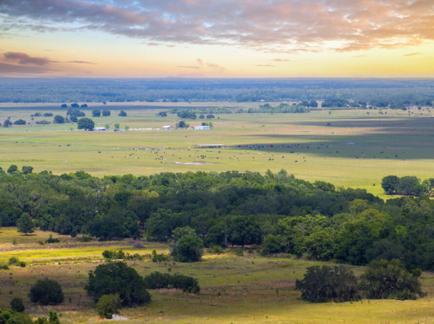 rolling hills and meadows, representing the need for Affordable Land Survey Services in South Texas