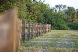 property with wooden fence