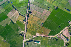 aerial view of a field, symbolizing Professional Land Survey Services in Brownsville, TX