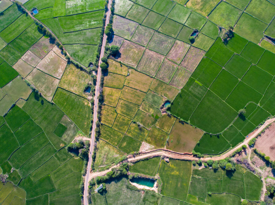 aerial view of a field, symbolizing Professional Land Survey Services in Brownsville, TX