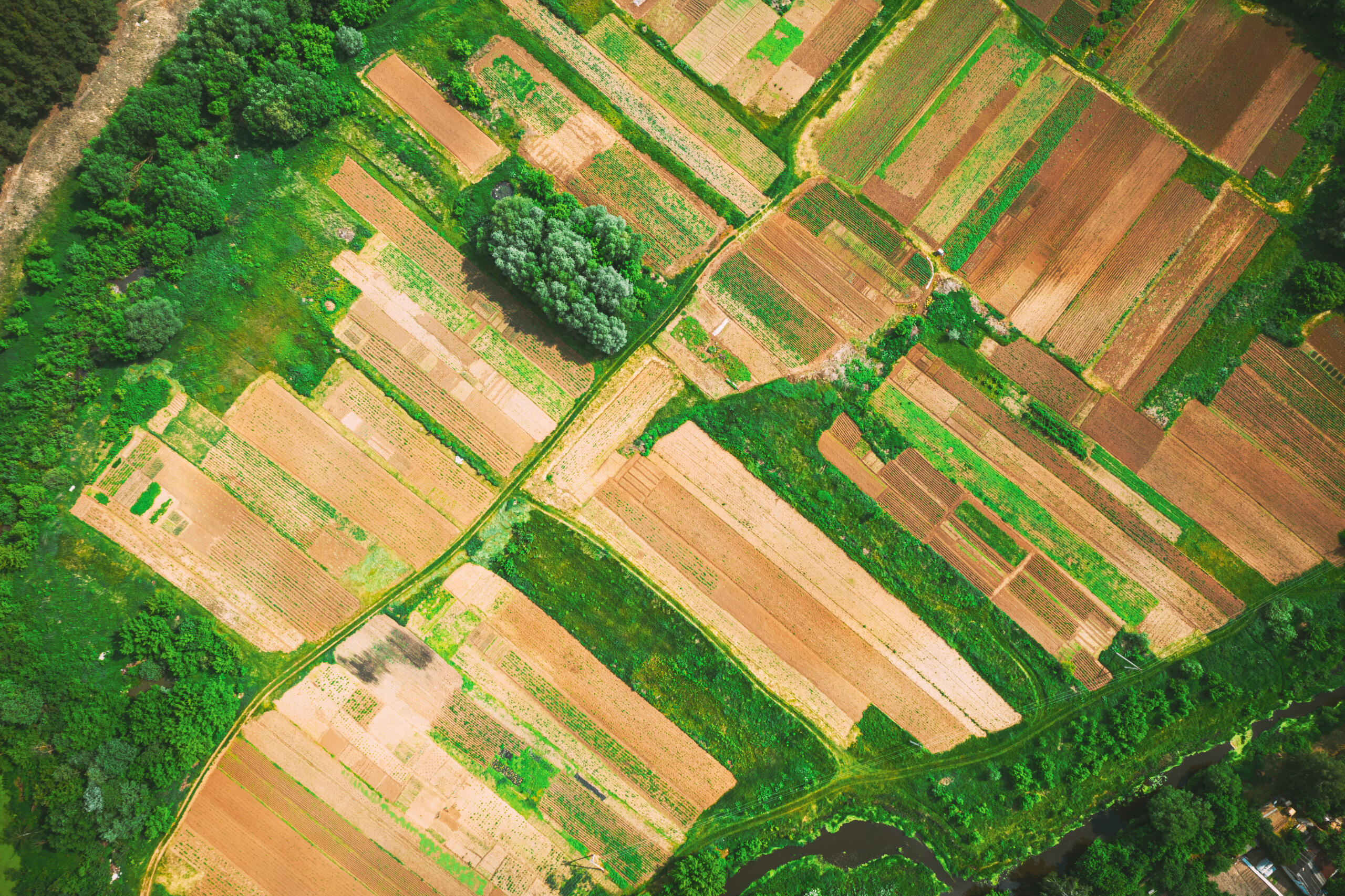 Aerial view of a vegetable garden and agricultural land parceling, illustrating how a professional land survey services provider in South Texas evaluates property boundaries, terrain, and land features.