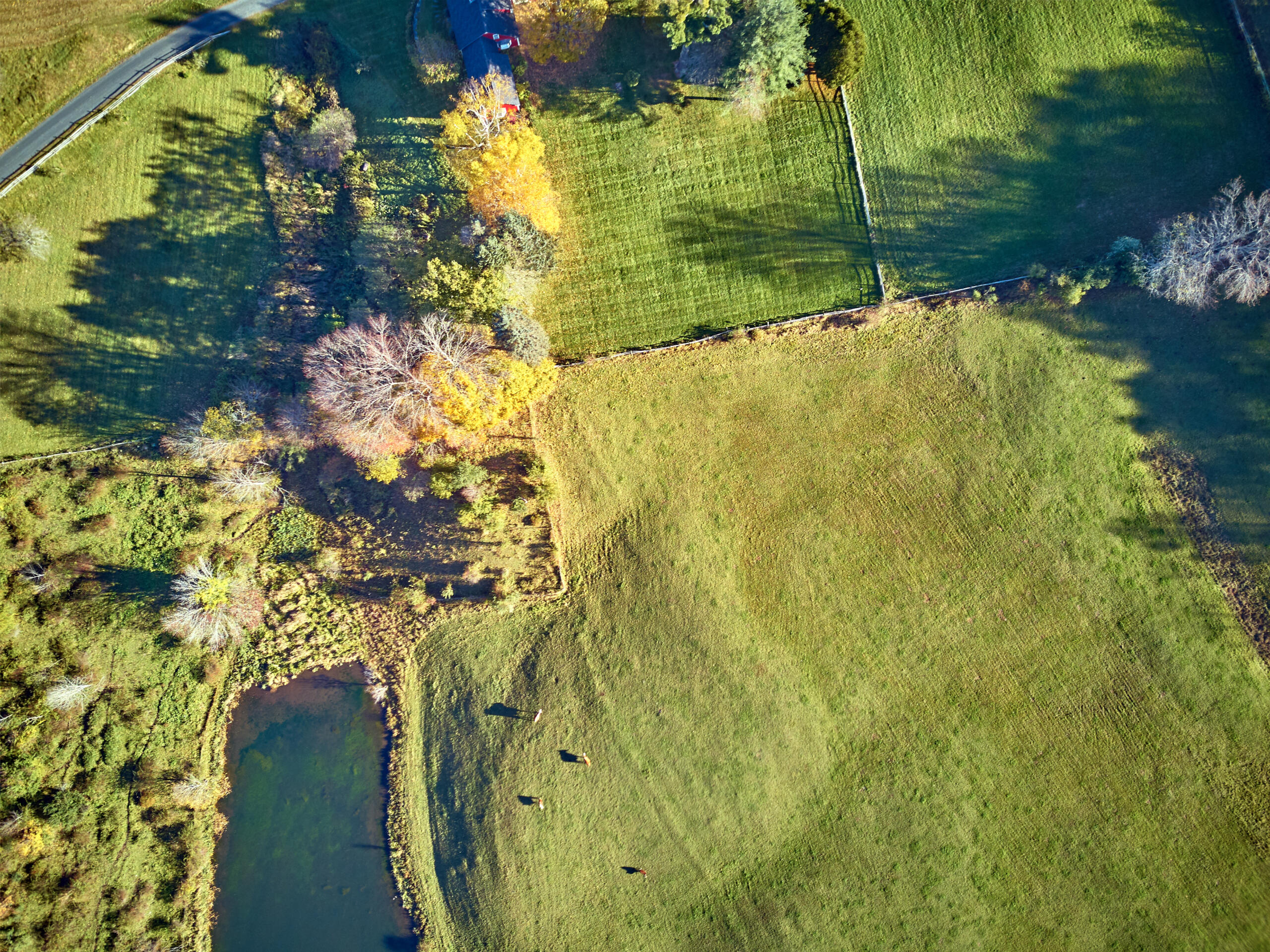 aerial view of land