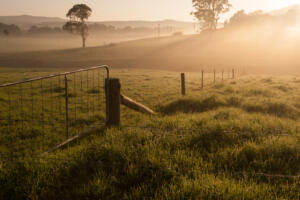 farm gate on a foggy morning, representing professional land survey services Rio Grande City TX