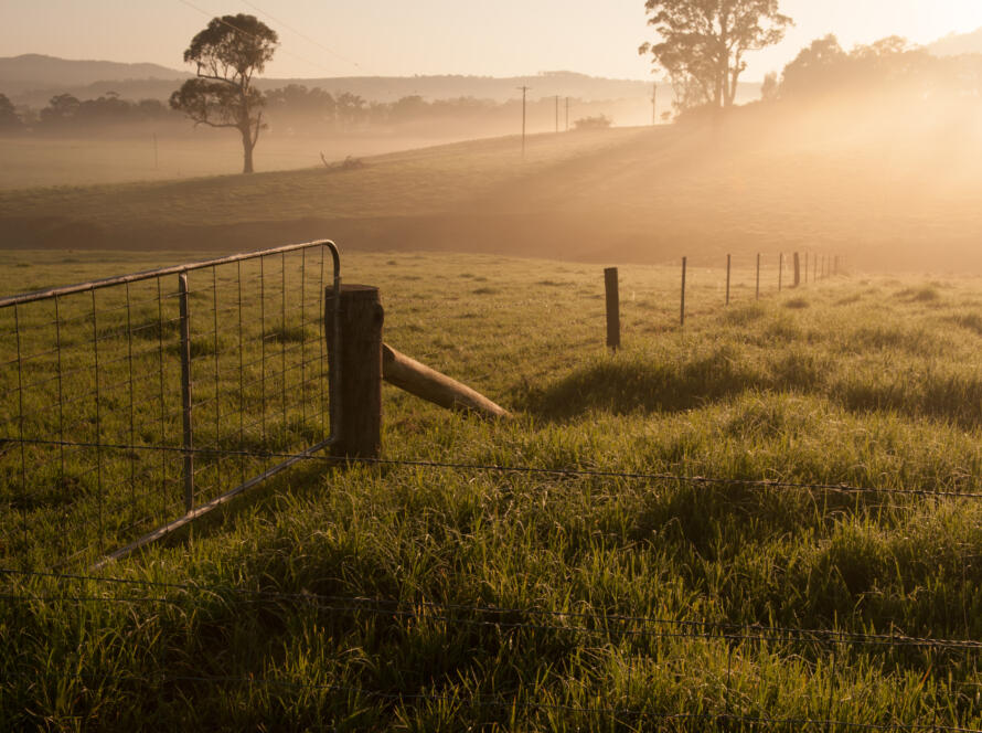 farm gate on a foggy morning, representing professional land survey services Rio Grande City TX