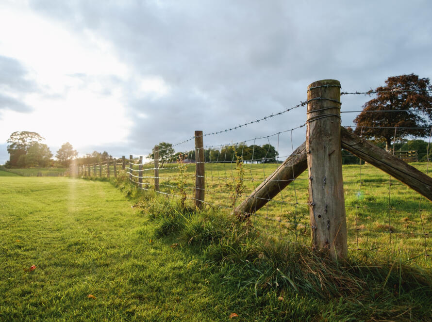 farm with wooden and wire fence, representing the importance of knowing how to Book Professional Land Survey Services in South Texas