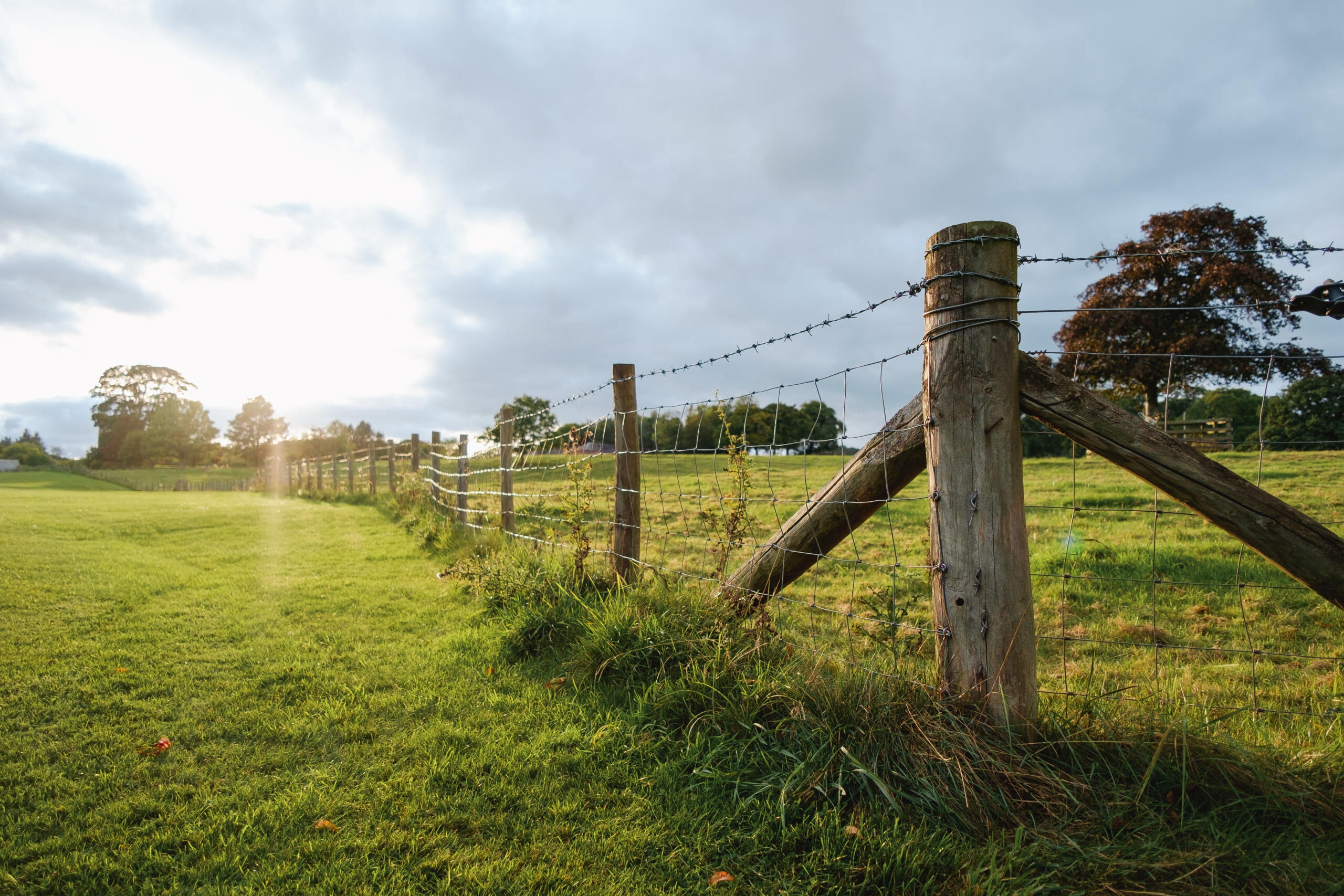 farm with wooden and wire fence
