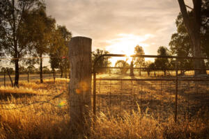Wooden fence marking property boundary, professional land survey services in Corpus Christi