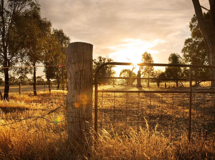 Wooden fence marking property boundary, professional land survey services in Corpus Christi