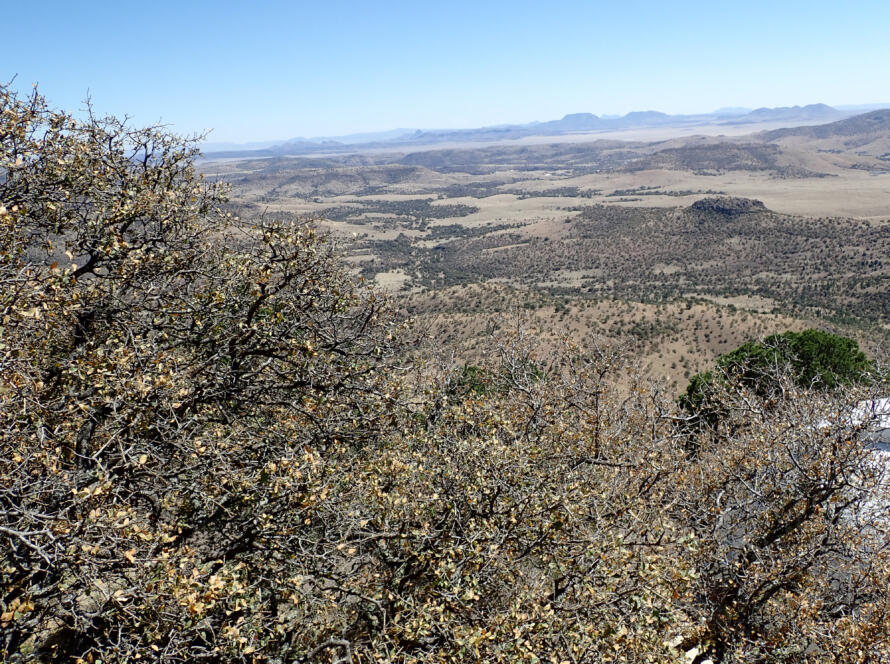 Texas landscape aerial view